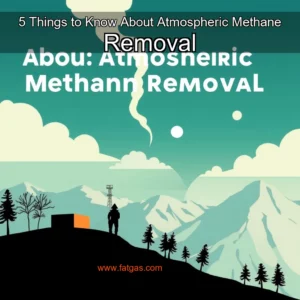 Read more about the article 5 Things to Know About Atmospheric Methane Removal