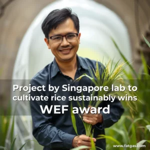 Read more about the article Project by Singapore lab to cultivate rice sustainably wins WEF award