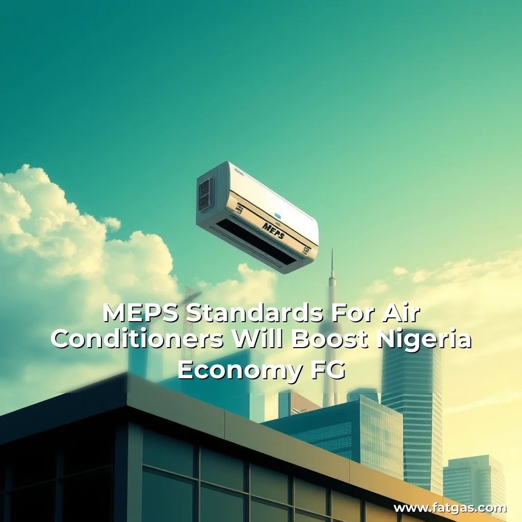 Read more about the article MEPS Standards For Air Conditioners Will Boost Nigeria Economy  FG