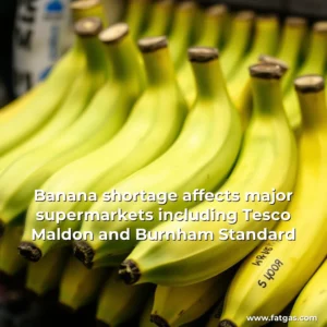 Read more about the article Banana shortage affects major supermarkets including Tesco  Maldon and Burnham Standard