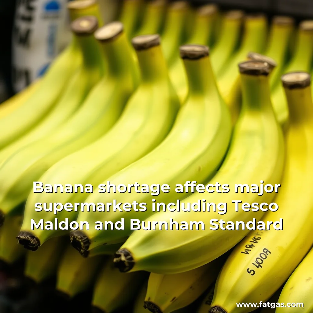Read more about the article Banana shortage affects major supermarkets including Tesco  Maldon and Burnham Standard